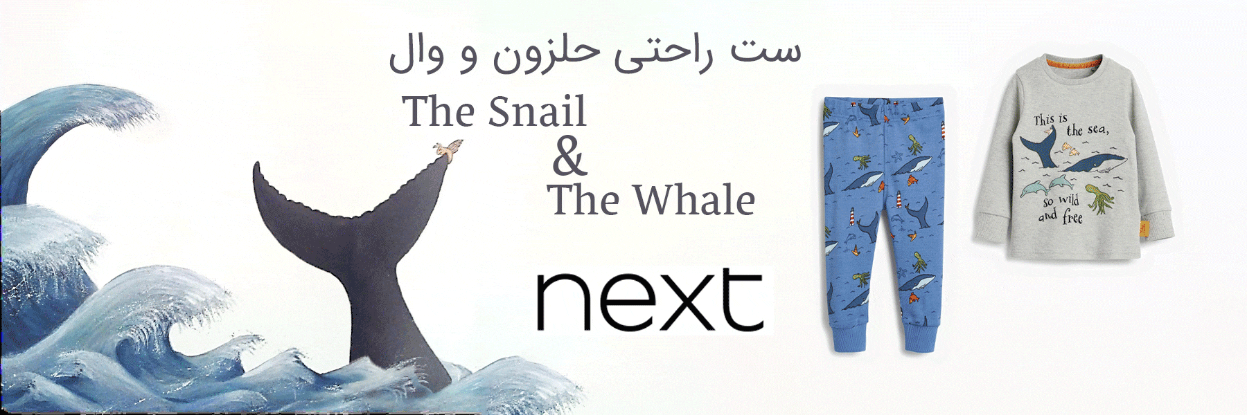 next the snail and the whale